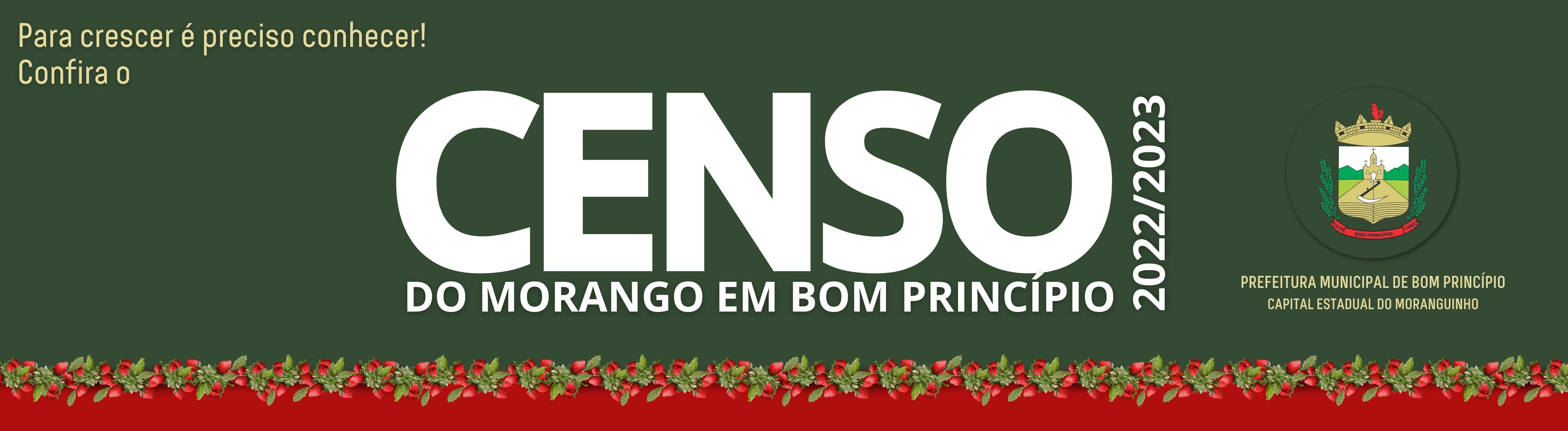 Censo do Morango 2022/2023