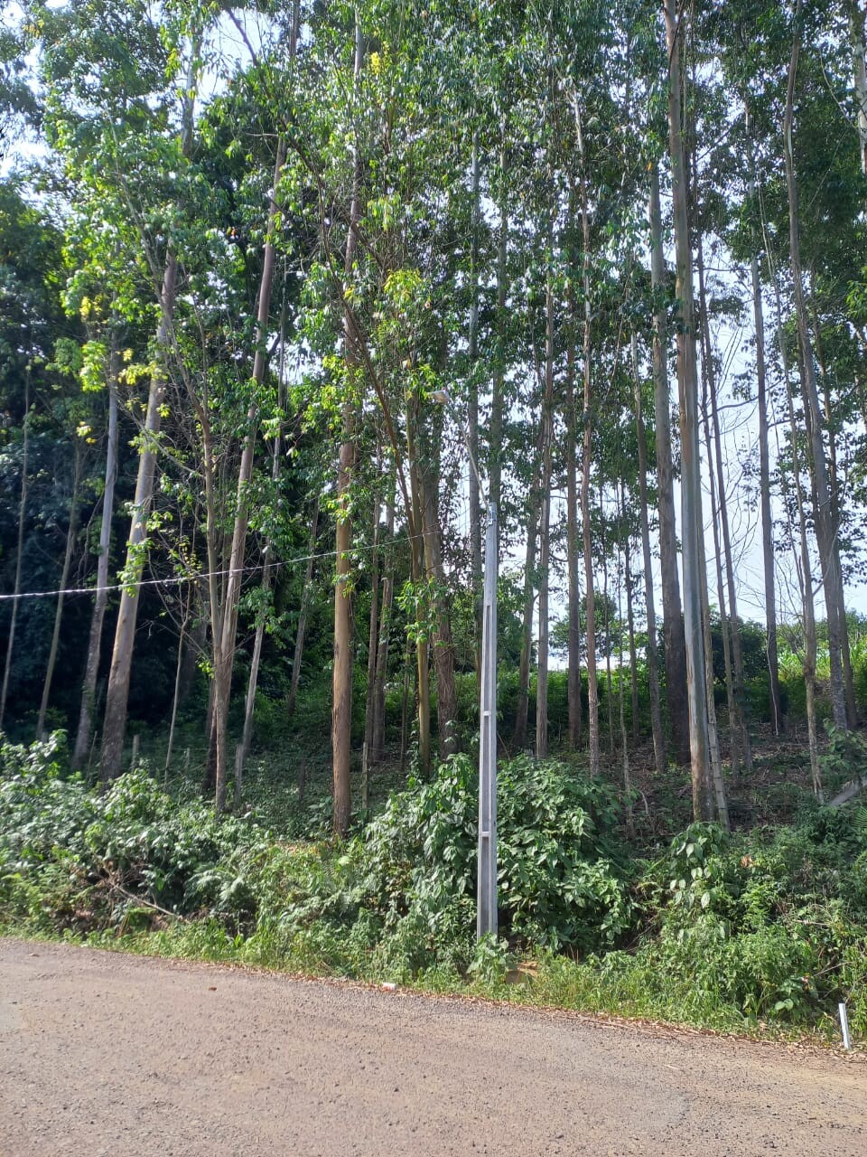 WhatsApp Image 2025-11-17 at 09.32.12 (1).jpeg