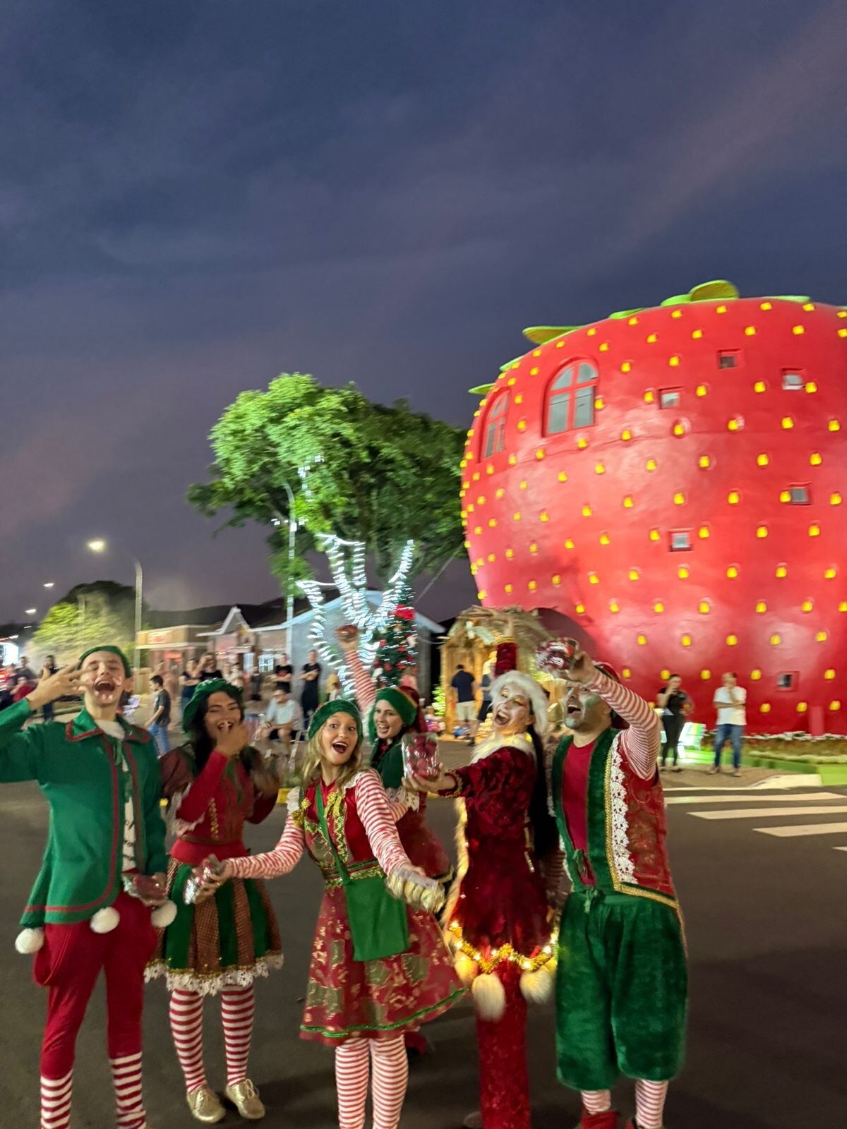 WhatsApp Image 2025-12-15 at 11.58.51 (5).jpeg