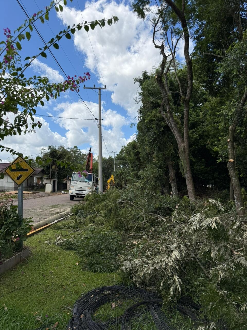 WhatsApp Image 2025-12-17 at 15.32.27.jpeg