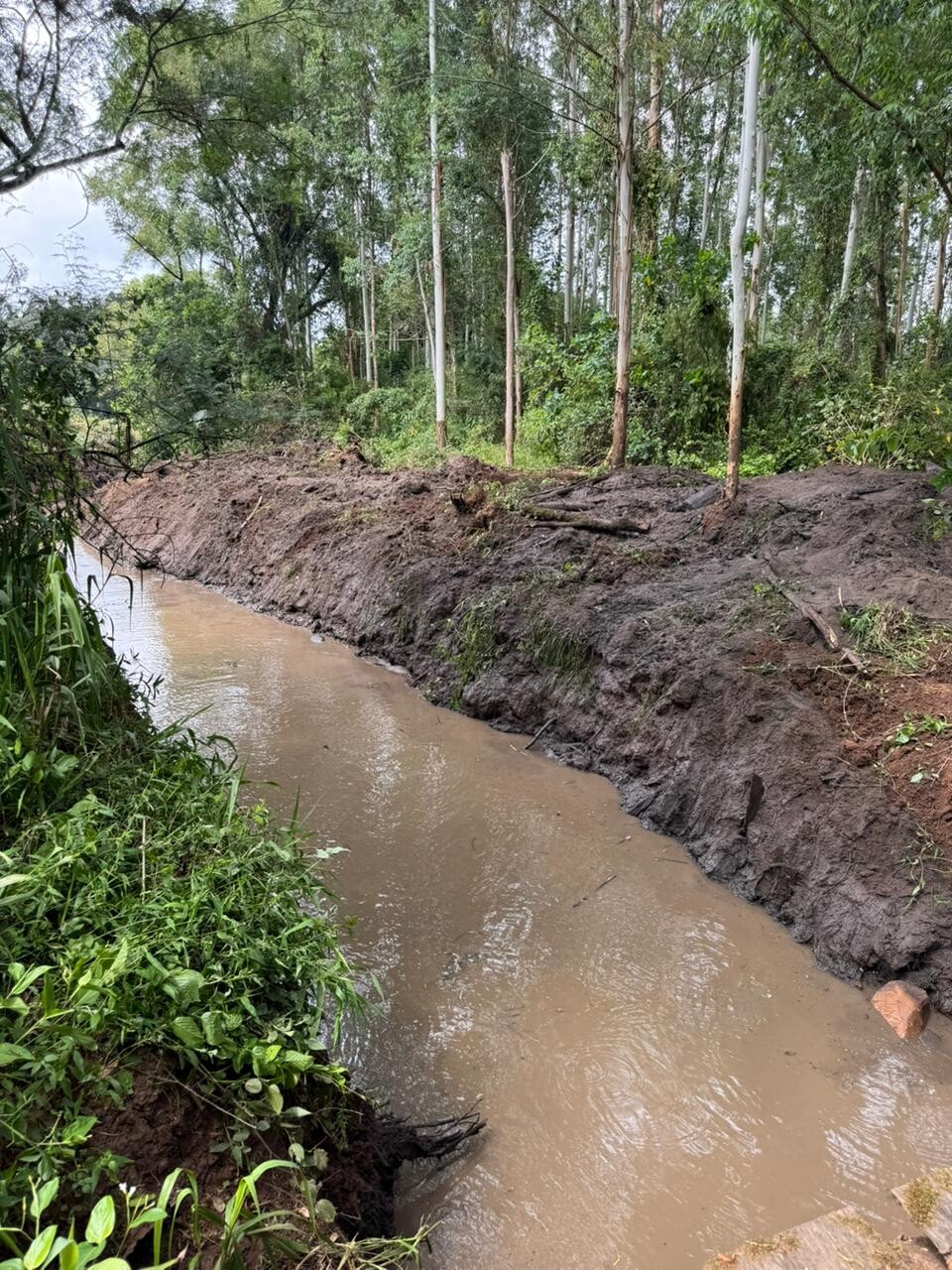 WhatsApp Image 2026-02-02 at 11.17.29.jpeg