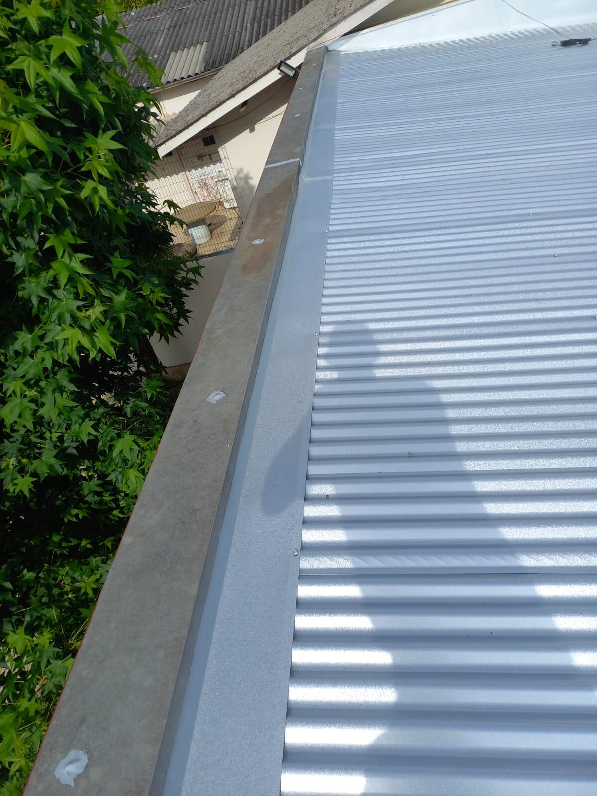 WhatsApp Image 2026-02-02 at 13.54.55.jpeg