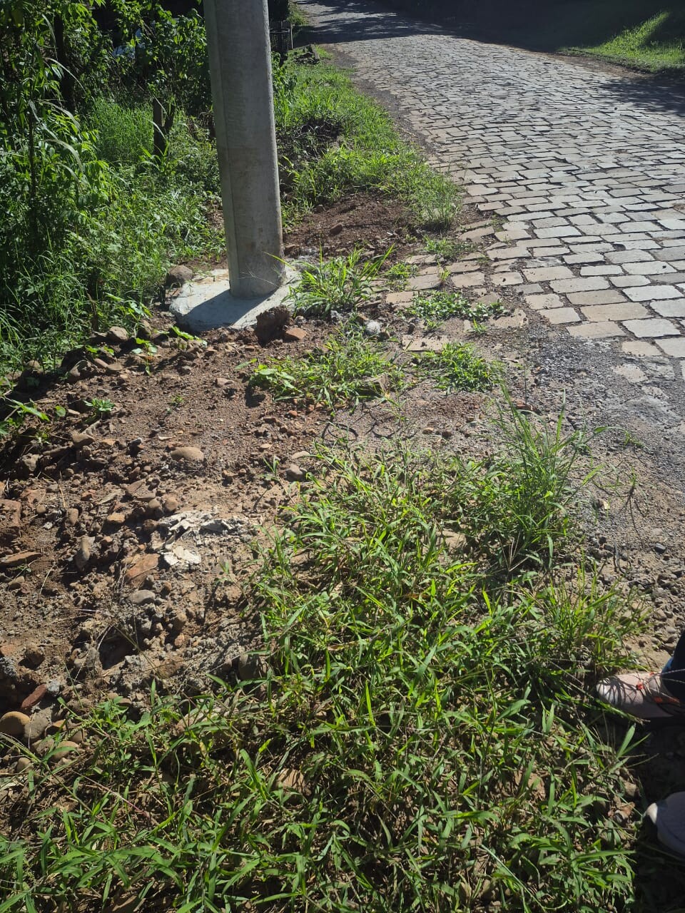 WhatsApp Image 2026-02-28 at 10.49.30.jpeg