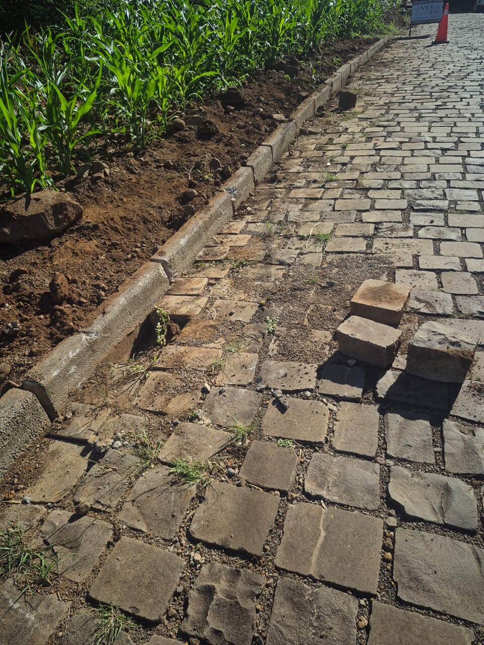 WhatsApp Image 2026-02-28 at 10.49.27.jpeg