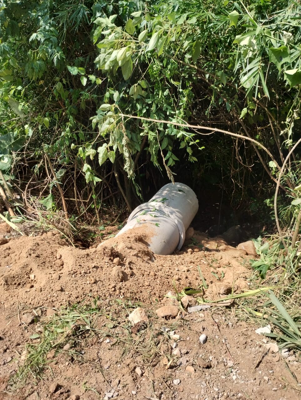 WhatsApp Image 2026-03-06 at 11.46.26.jpeg