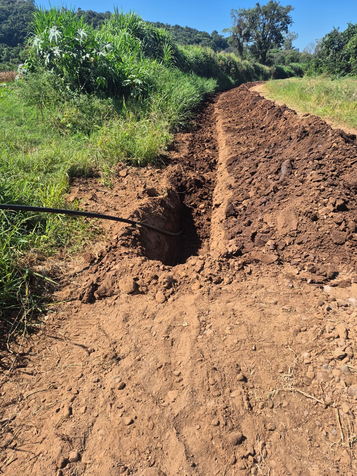 WhatsApp Image 2026-03-04 at 09.08.16 (3).jpeg