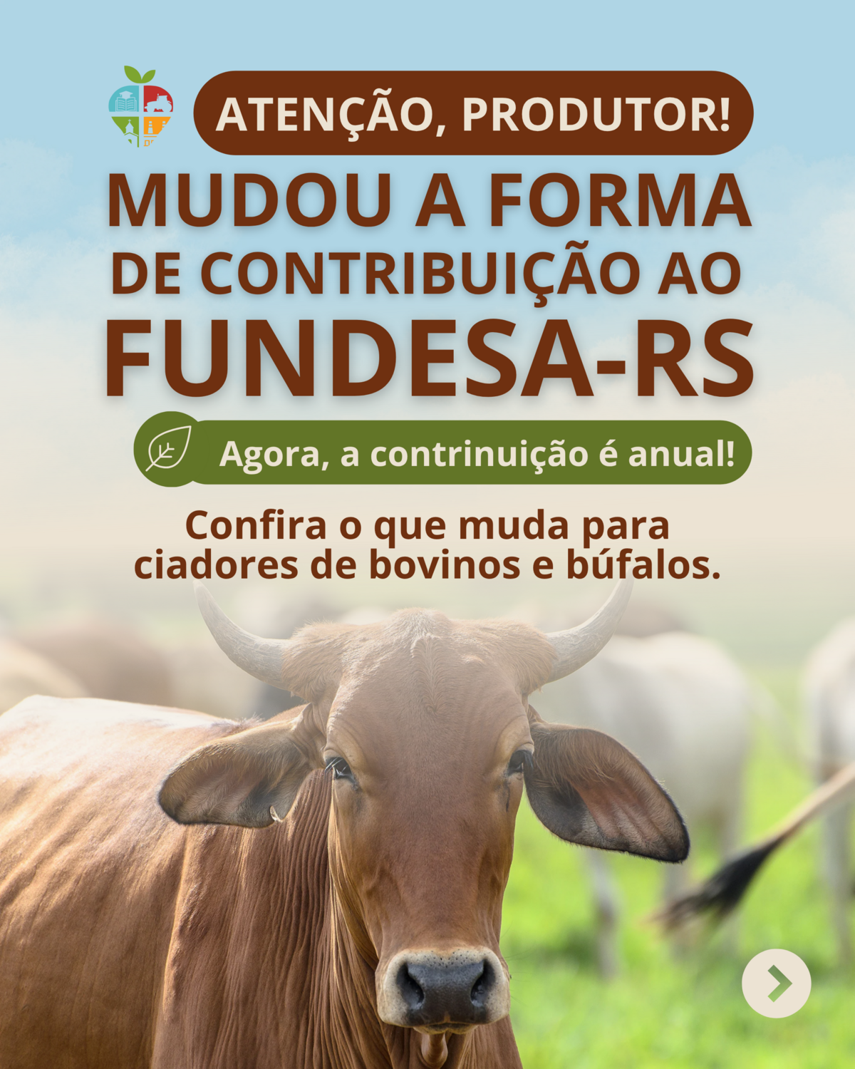 fundesa-rs-nova-contribuicao-para-bovinos-e-bufalos-comeca-a-ser-cobrada