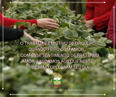 Fotos