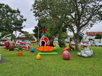 Fotos