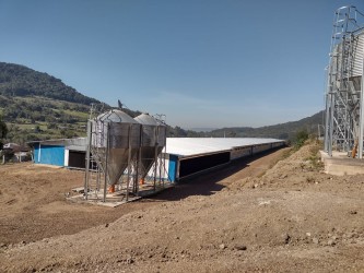 Fotos