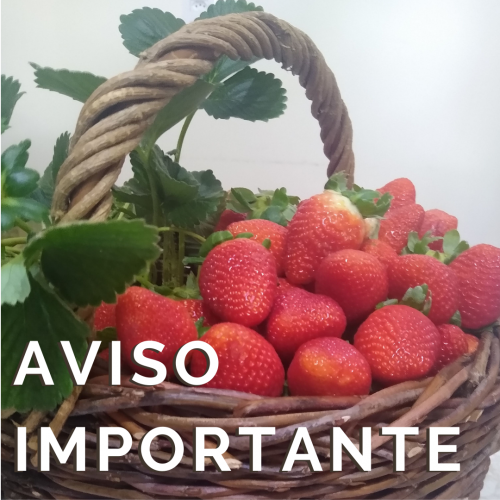 Fotos