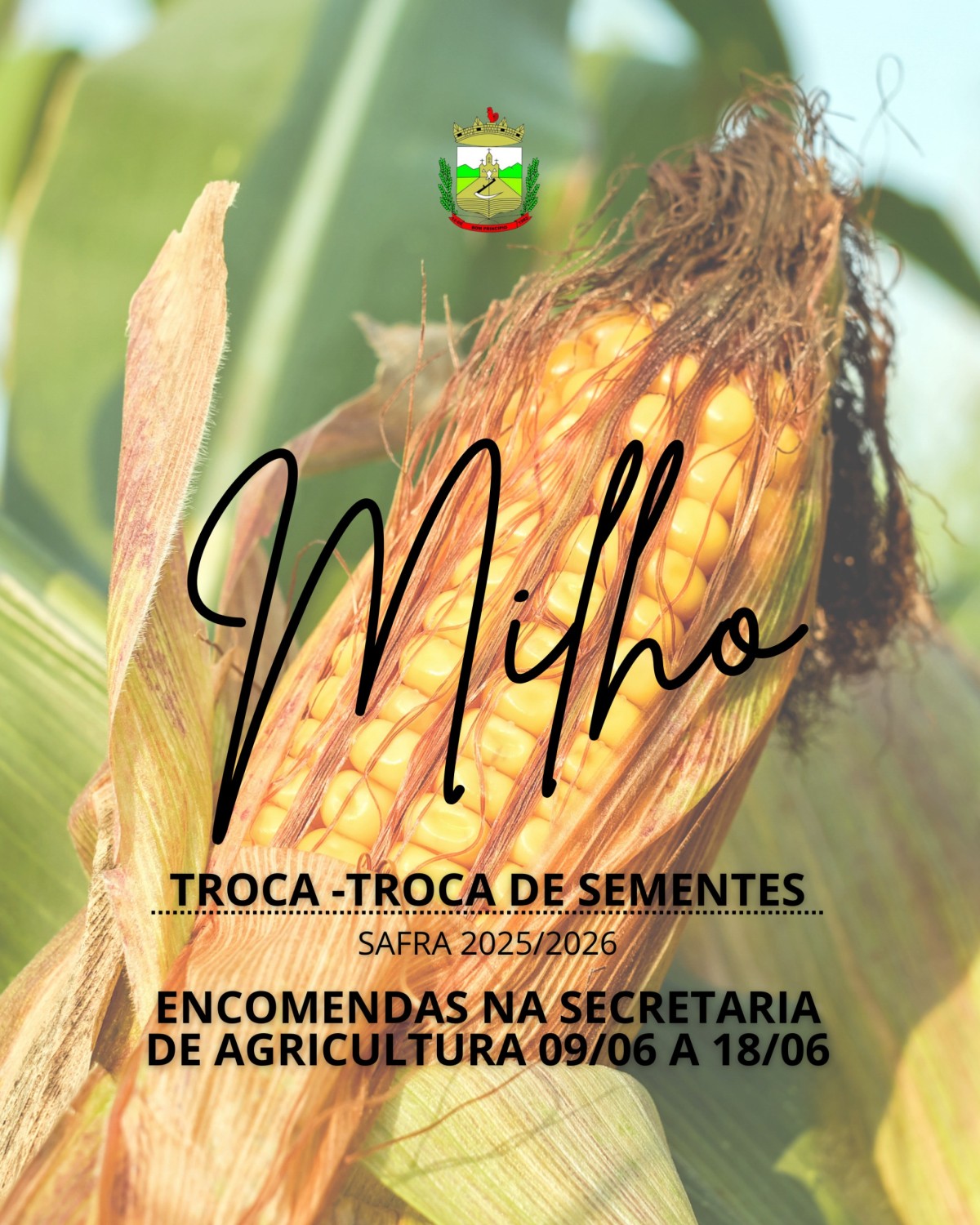 Notícia