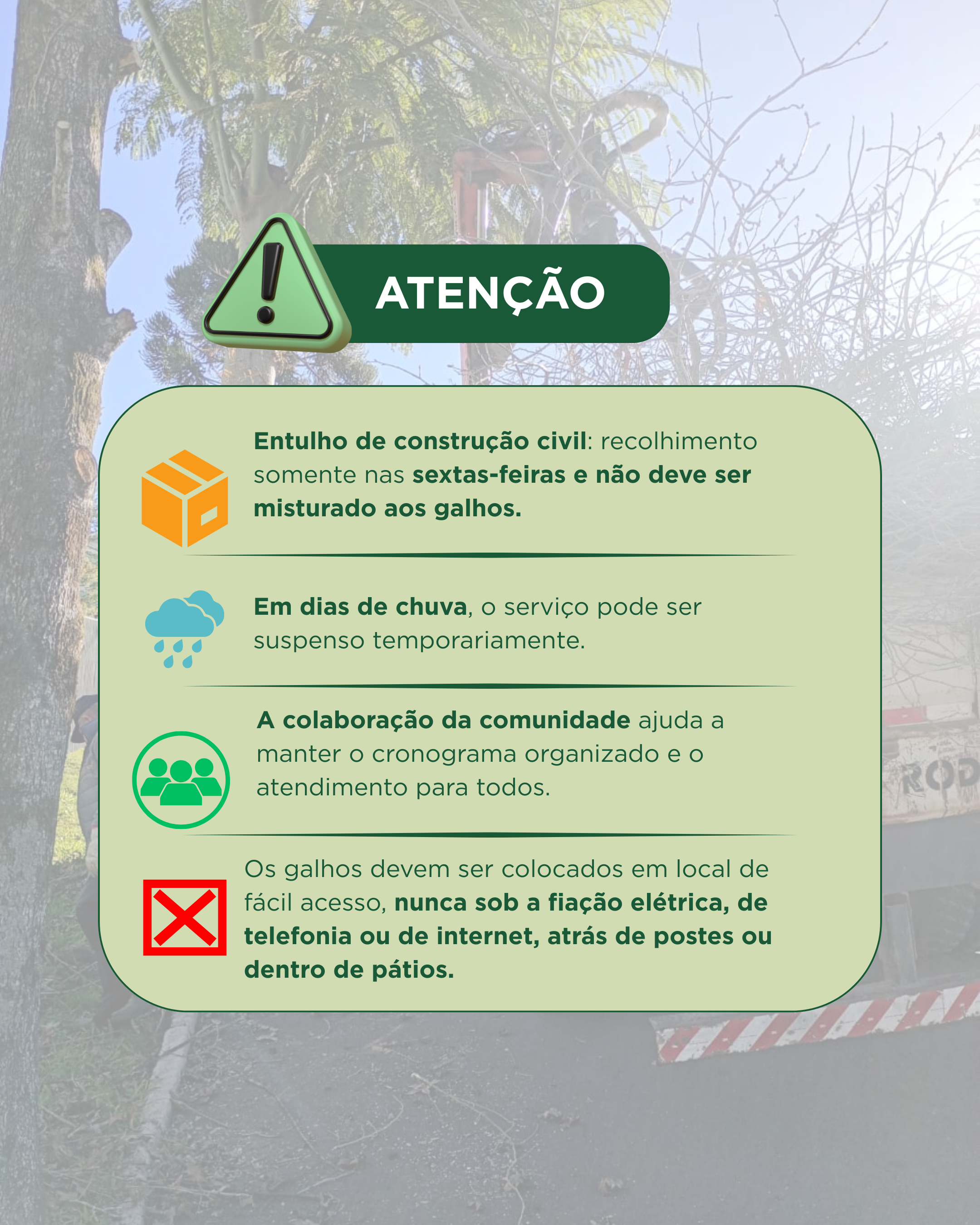 podou suas árvores (2).png
