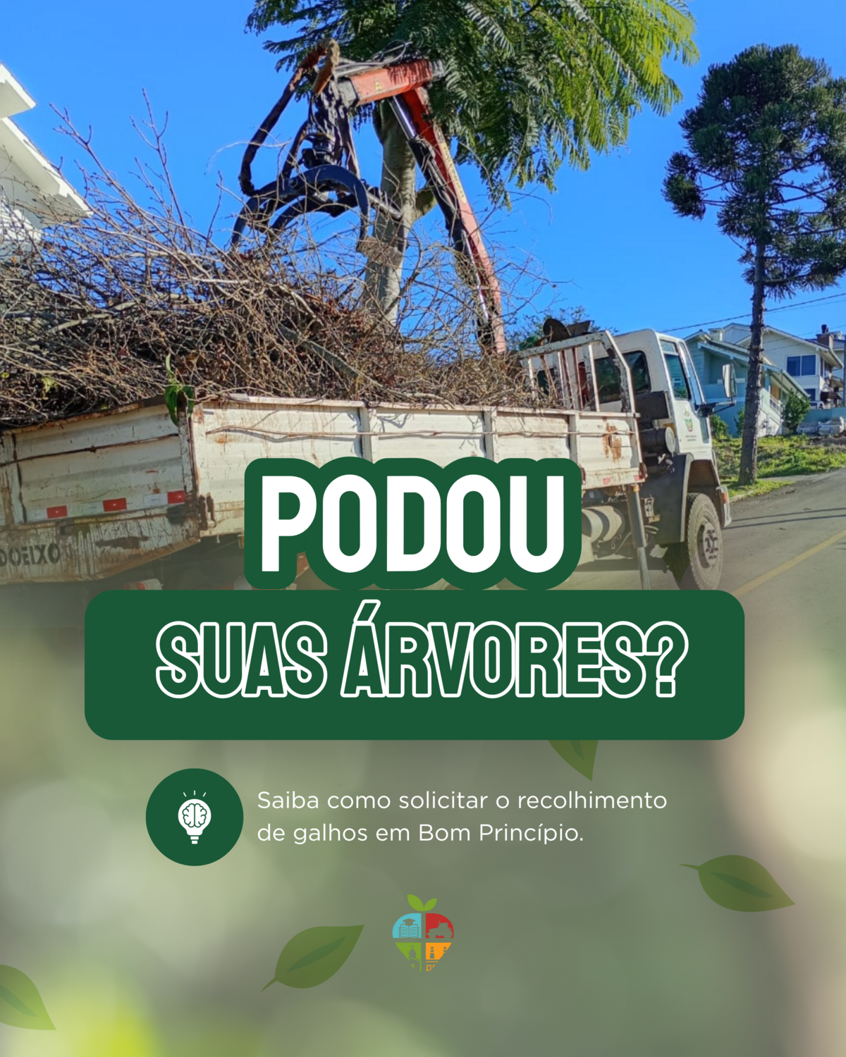podou-suas-arvores-saiba-como-solicitar-o-recolhimento-dos-galhos