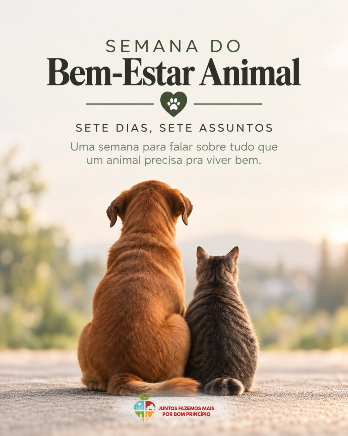 causa-animal-de-bom-principio-promove-semana-do-bem-estar-animal-2