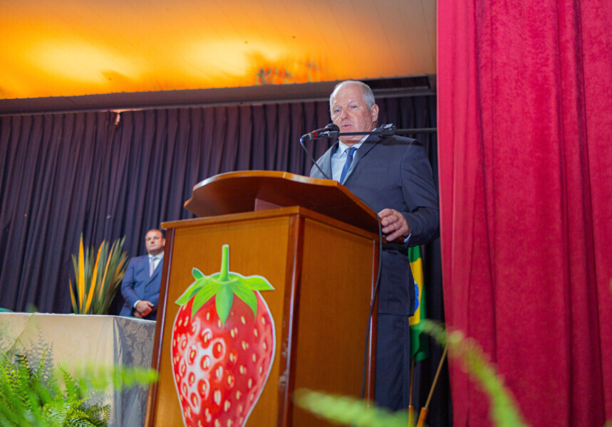 Vice-Prefeito - José Luís Liell