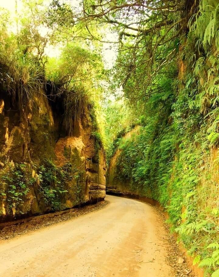 paredao